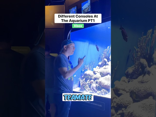 Consoles at the aquarium PT1 #funny #comedy #humor #relatable #gamer