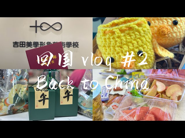 回国vlog #2｜Back to China