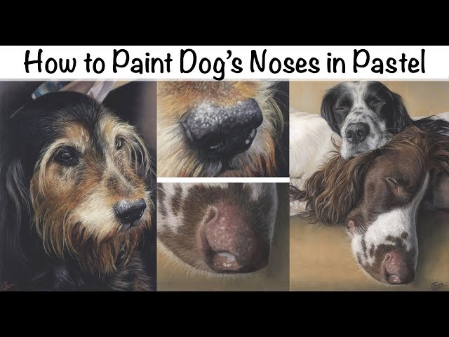 How To Paint Dog's Noses in Pastel