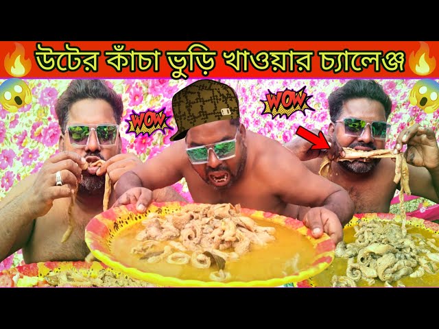 রফিকুল দা আজব চ্যালেঞ্জ ।। উটের ভুরি খাওয়া ।। Rafiqul da strange challenge ।।  Eating camel rice ।।