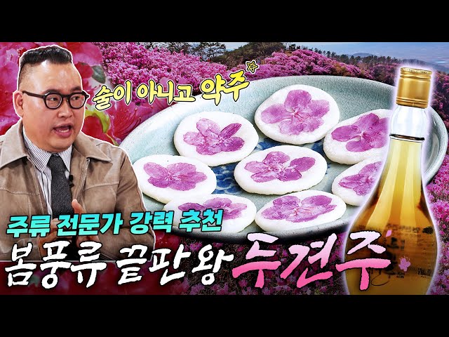 봄날 최고의 전통 약주 두견주🌸 술과 약주의 차이🍶 주류 전문가 명욱 교수가 알려드림! 천년 전통 두견주로 누리는 최고의 봄 풍류 #두견주 #진달래술 #오지다