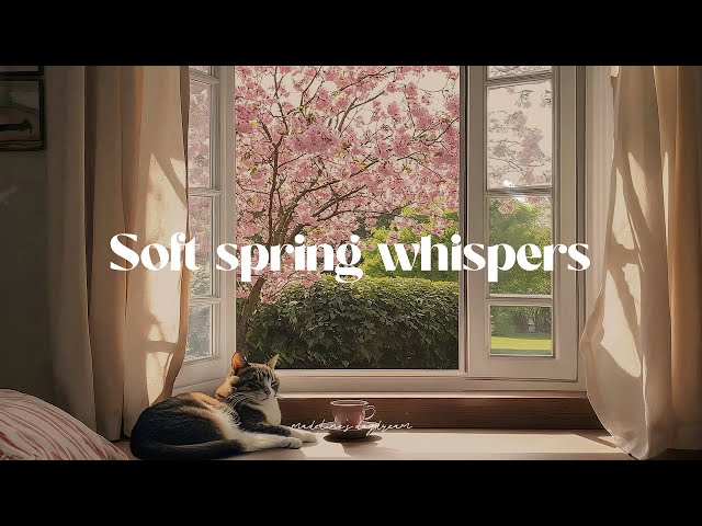 listen to soft spring whispers | dreamy morning playlist ⭐romanticize your life with guitar music