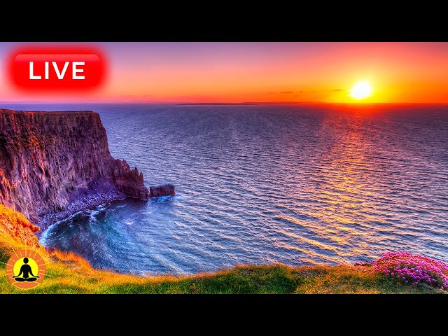 🔴 Relaxing Music 24/7, Stress Relief Music, Sleep Music, Meditation Music, Study, Calming Music