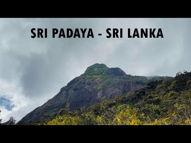 Sri Padaya - Sri Lanka | Travel Sri Lanka Sri Padaya | (Adam's Peak) cinematic video | 2024