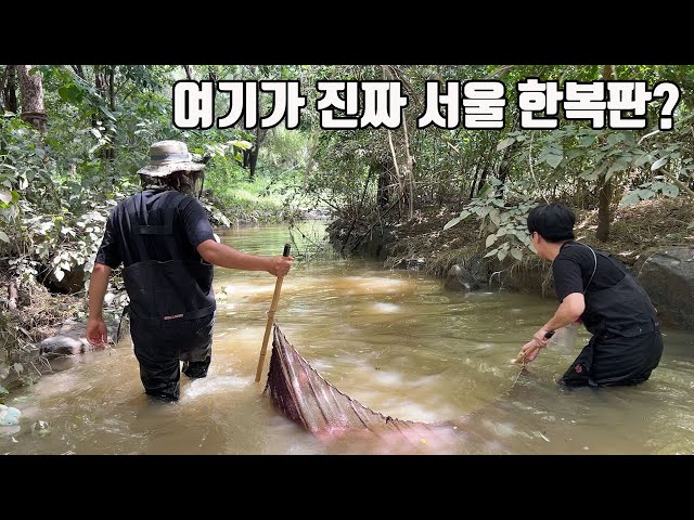 여기가 서울한복판이라고? 그런데 족대질중 생각도 못한 거대 외래어종 출현!