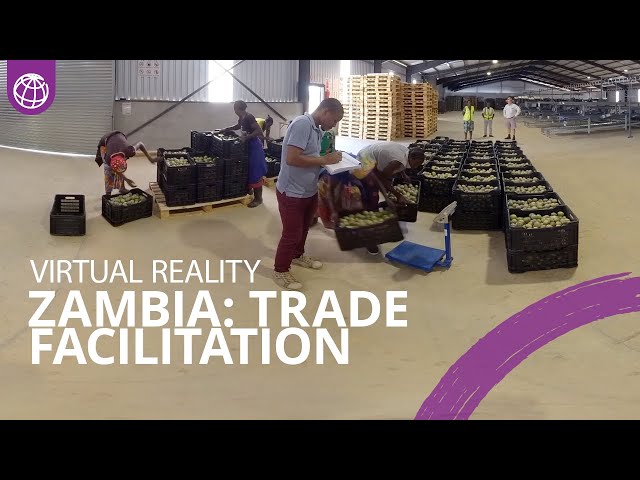 Zambia: Diversifying the Economy Through Trade Facilitation Reform | Virtual Reality 360° Video