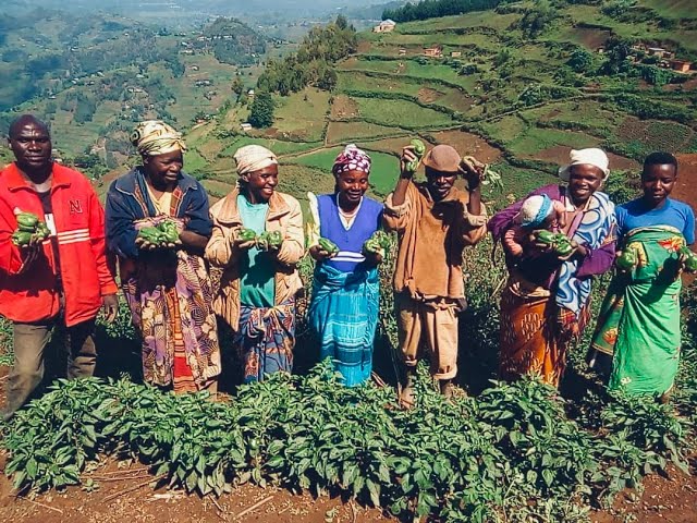 Growing New Roots - DIG's Journey with the Batwa