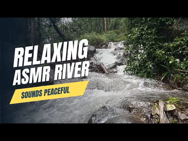 Relaxing ASMR River Sounds | Gentle Water Flow & Nature Ambience for Sleep, Study, and Relaxation