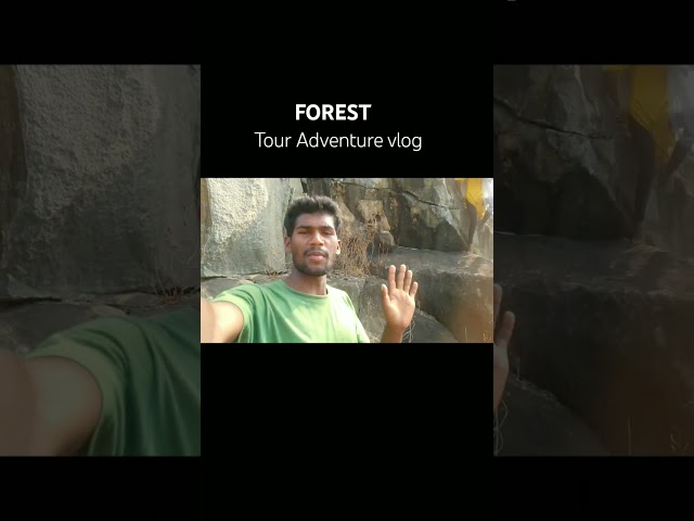 Forest vlog #basanttrib #minivlog #ख़बर1इंडिया #forest  #marriageadvice #vlog #trevel