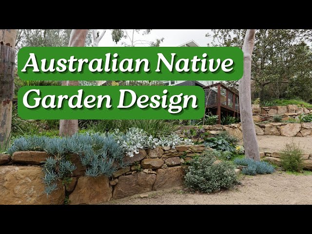 Australian Garden Design: Beginner’s Guide