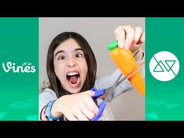 Funny Eh Bee Vine Compilation - Best Eh Bee Family Vines 2013-2017