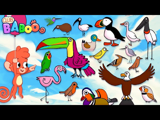 Animal ABC | learn alphabet a to z with 26 cartoon Birds for kids | ABCD Wild Animals and Sounds