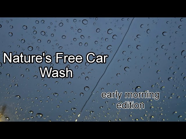 Loopable ASMR || Early Morning Rain Sounds