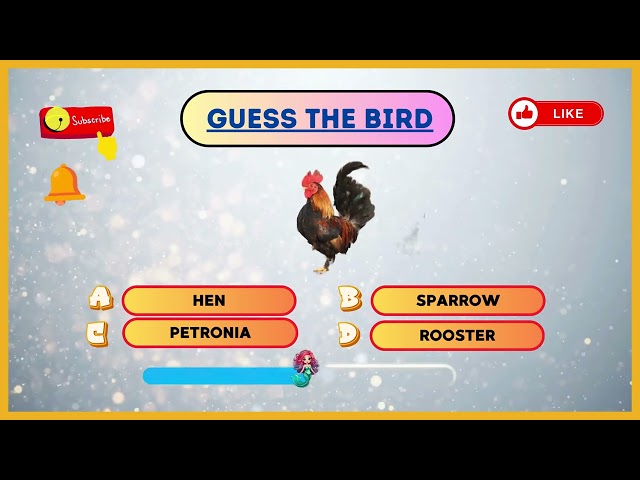 Guess Bird #trending #video #viralvideo #love #trendingshorts #youtubeshorts #youtube #music #new