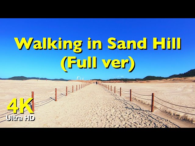 4k 신두리 해안사구 산책(Full ver) | 고화질 산책 영상 소스 | Walking in the Sinduri Sand hills