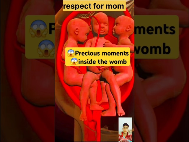 Precious moments inside the womb #shorts #pregnant