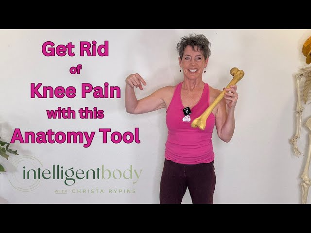 Get Rid of Knee Pain With This Anatomy Tool!