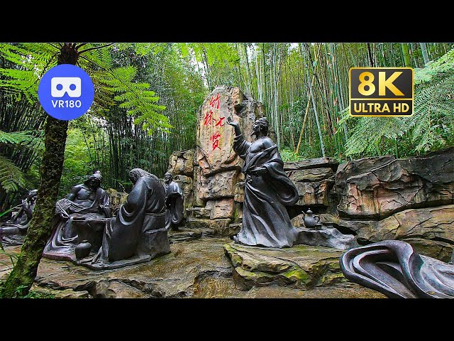 【VR180】Travel China: Shunan Bamboo Forest 蜀南竹海