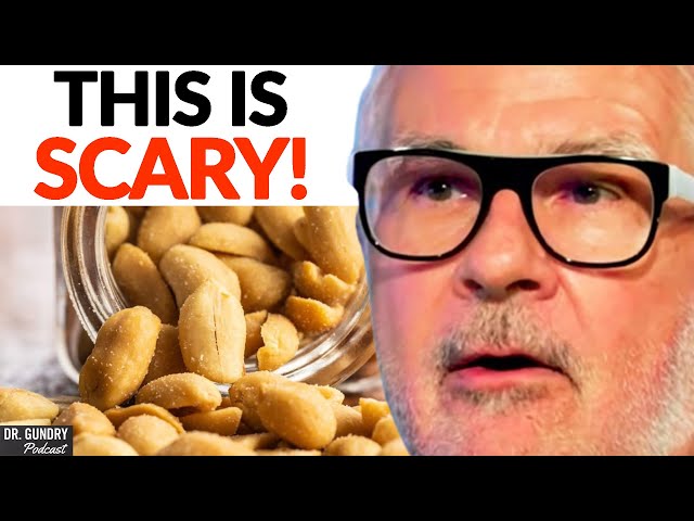 What HAPPENS If You Eat Peanuts EVERYDAY For 30 Days? | Dr. Steven Gundry