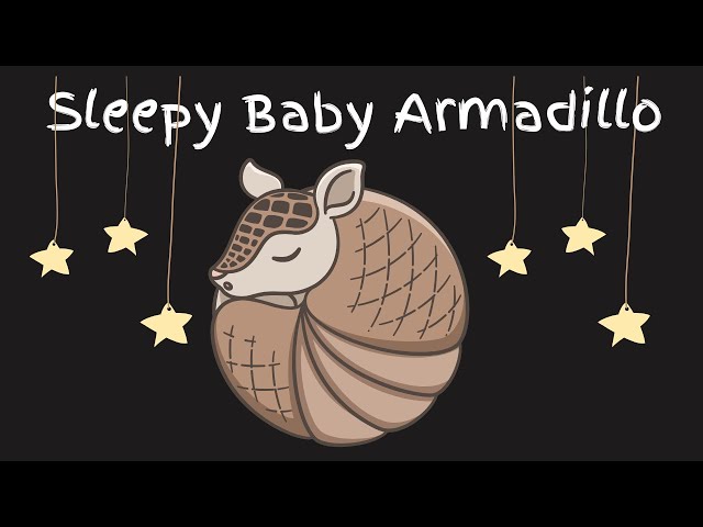 Sleepy Baby Armadillo's Moonlight Glow & 3 Fun Facts #lullabiesforbaby