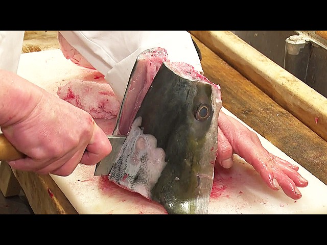 Master Fillets a 10kg Yellowtail at Historic Kappo!  #knifeskills #sushi