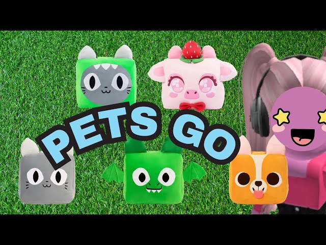 Getting started on ROBLOX Pets Go🐾