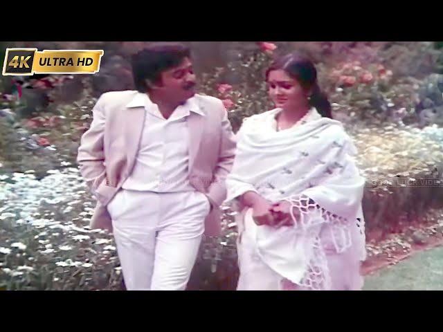 ஜோடி நதிகள் பாடல் | Jodi Nadhigal song | S. P. Balasubrahmanyam | Mohan, Urvashi | Anbe Odi Vaa .