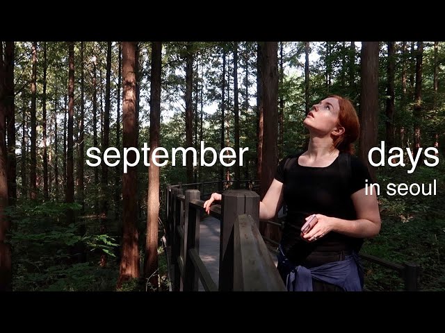 seoul diaries 🍂 ceramics, hiking, cleaning my apartment, hints of autumn, life in korea VLOG