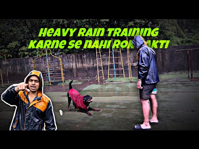 Rottweiler Training In Heavy Rain But Baarish Bhi Nahi Rok Sakti | Day-103 #dog #rottweiler #vlog