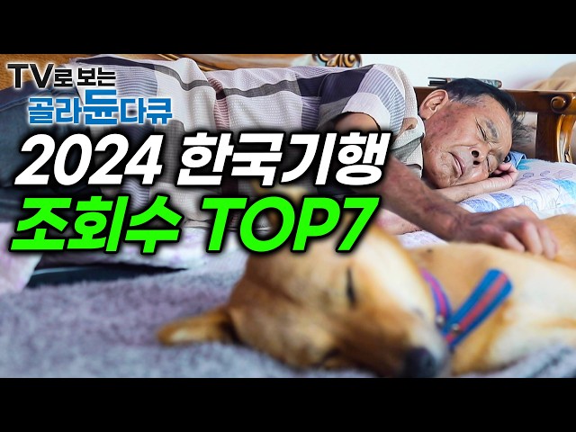 2024 연말 결산! 한국기행 조회수 TOP7 모아보기｜한국기행 레전드｜#골라듄다큐