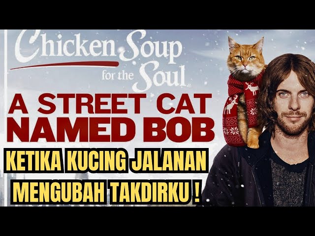 The Street Cat That Changed My Destiny - A street cat named bob