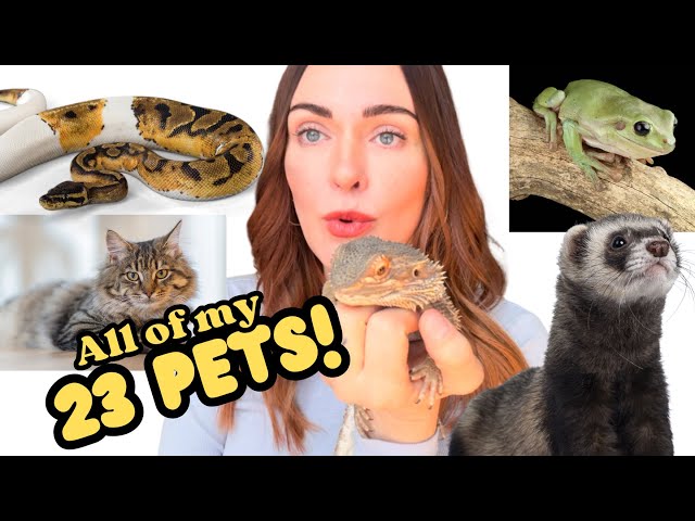 Meet All of My 23 Pets!! (2025 Edition)