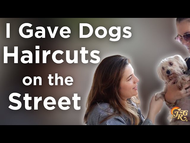 I Gave Random Dogs Haircuts on the Street | Jess Rona Grooming