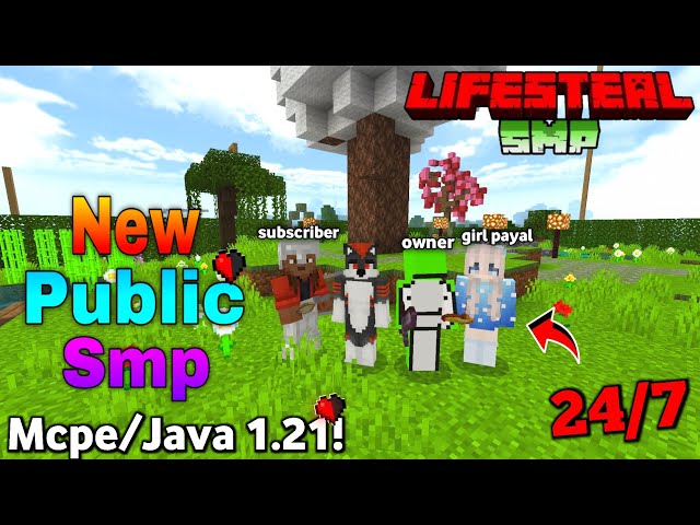 😎 New Best Cracked Public Lifesteal Smp For Minecraft | Mcpe/java 1.21💧| 24/7 Online | Free To Join💥