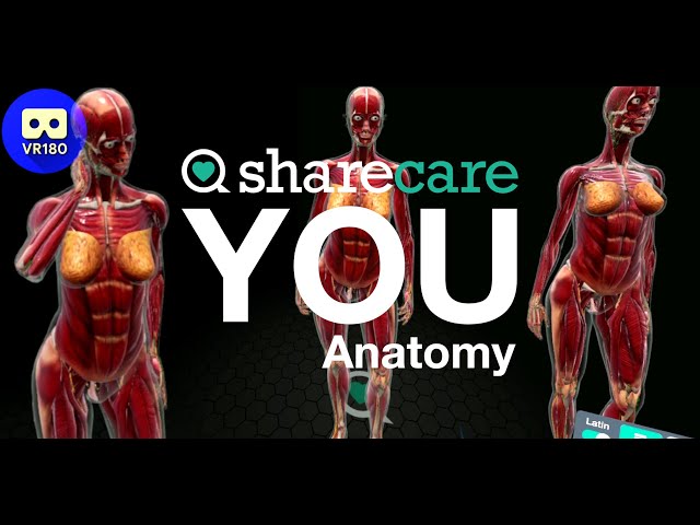 Sharecare YOU VR (Lite) [3D VR180]