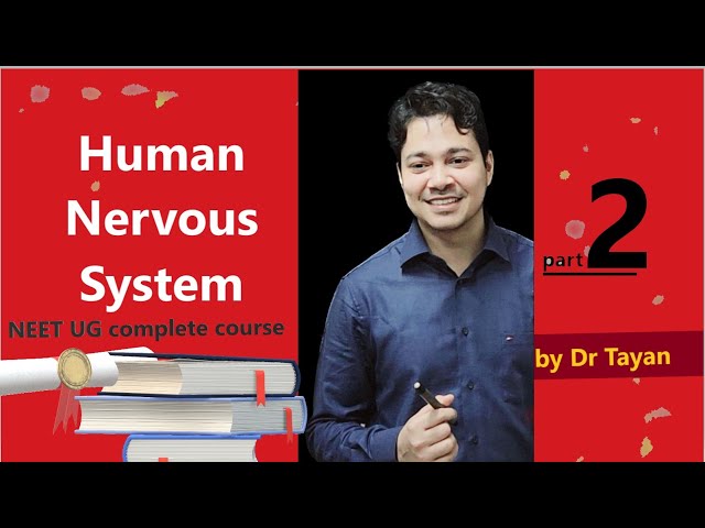 Human Nervous System Part-2 for NEET UG 2024 | Dr Tayan