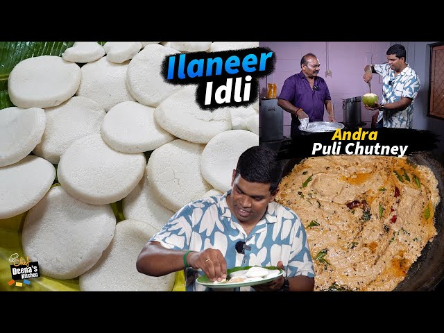 கோயம்பத்தூர் இளநீர் இட்லி | ஆந்திரா புளி சட்னி Recipe in Tamil | CDK 1351 | Chef Deena's Kitchen