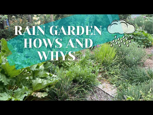 Rain Garden Tour: Benefits + Comprehensive Design Tips