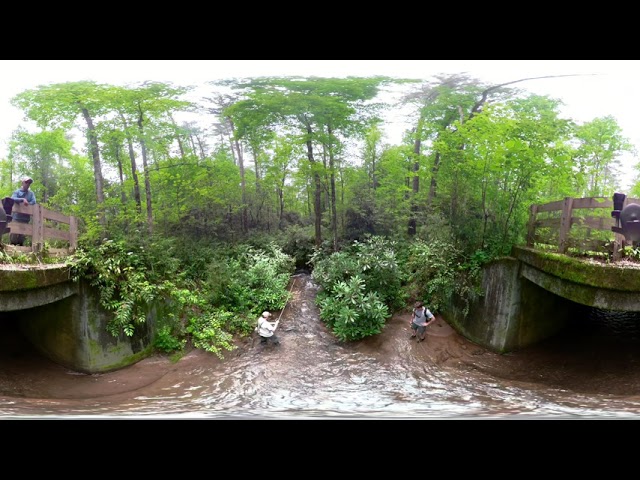 Fly Fishing For Brook Trout