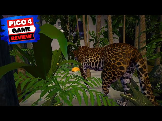 PICO4 GAMES | ZOO HOME | Interactive AR Experience