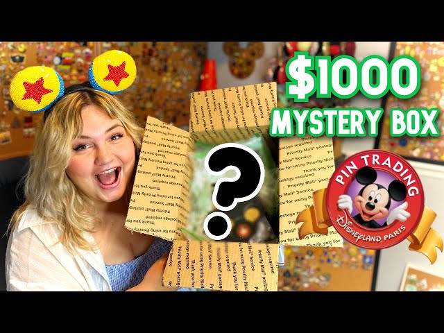 I Bought a $1000 eBay Mystery Box of Disney Pins! 400+ PINS!