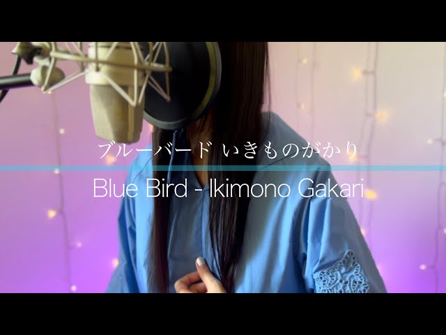 【NARUTO】ブルーバード Blue bird / いきものがかり cover by しまも