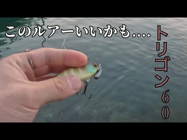 流れの速い川の底にルアーを流していく釣り