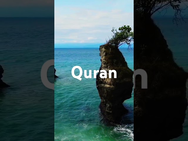 Quran urdu translation