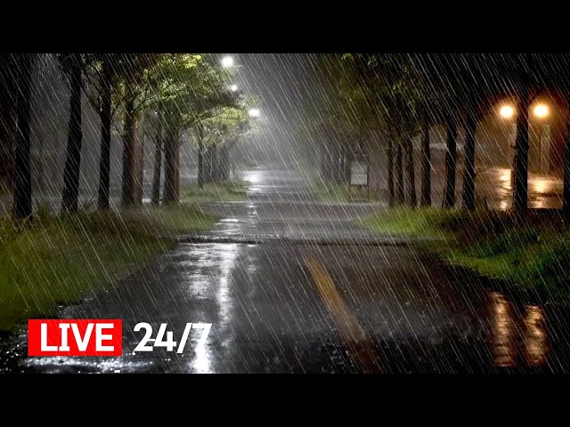 Heavy Rain Sound Recommended for those who want a Good Night's Sleep - Lullaby White Noise