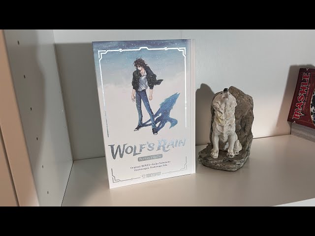 Wolfs Rain Perfect Edition Review