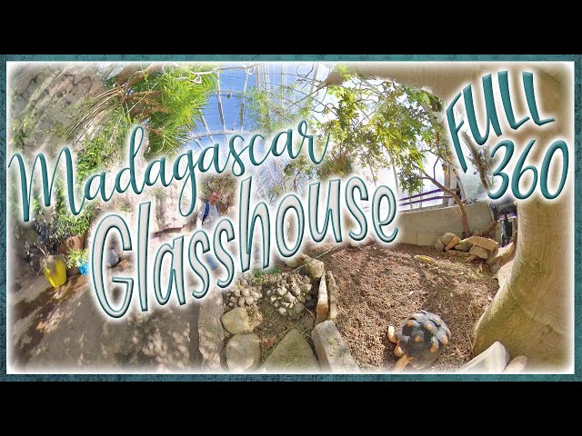 Madagascar Glasshouse Turtles | Cleveland Botanical Garden 360