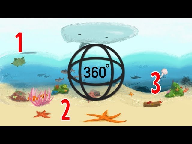 Search and Count 360 videos for kids: The Ocean