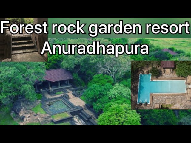 Forest rock garden resort Anuradhapura