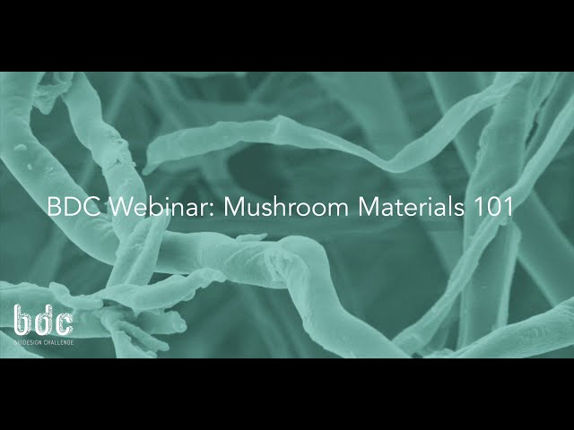 BioDesign Challenge: Mushroom Materials 101